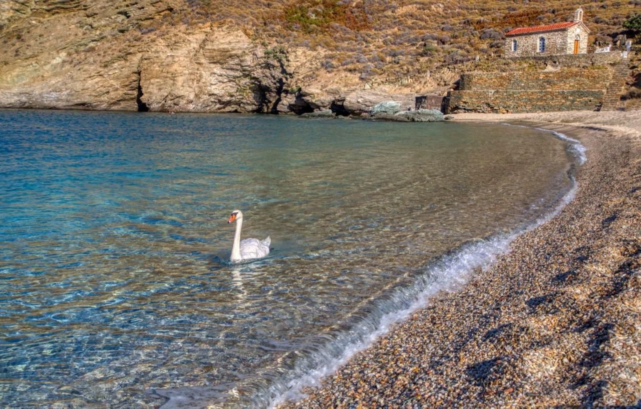 Appartement Andros Guesthouses Ándros